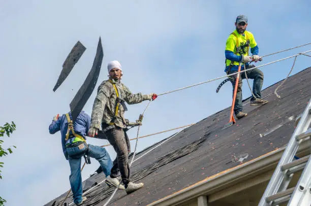 Storm Damage Roof Repair Washington NC 6 Roofing crew in safety harnesses tearing off damaged shingles from a home's roof after a storm