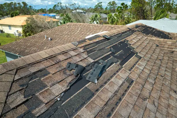 Storm Damage Roof Repair Washington NC 2 Wind-damaged shingle roof with lifted, torn, and missing shingles exposing the underlayment
