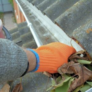 Roof-gutter-cleaning-greenville-nc.jpg
